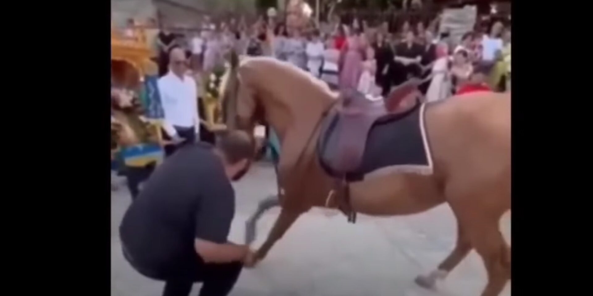 Η στιγμή που αναγκάζουν άλογο να προσκυνήσει