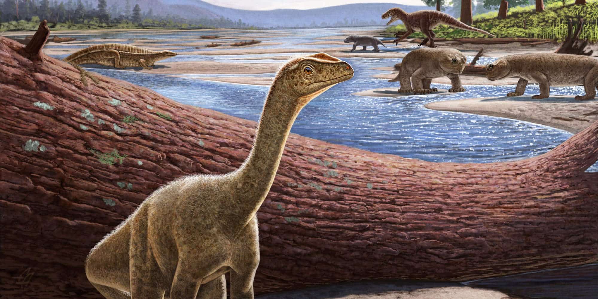 Μια διεθνής ομάδα παλαιοντολόγων ανακάλυψε και «βάφτισε» έναν άγνωστο έως τώρα πολύ πρώιμο δεινόσαυρο, τον Mbiresaurus raathi
