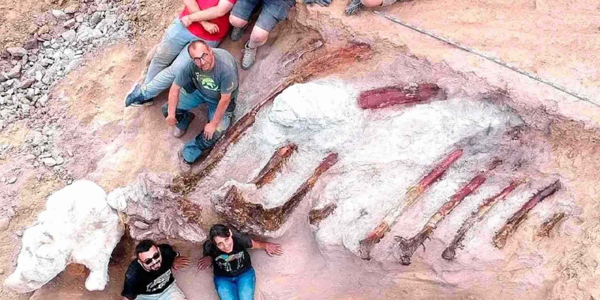 Ο μεγαλύτερος δεινόσαυρος στην Ευρώπη βρέθηκε στην πίσω αυλή ενός σπιτιού στην Πορτογαλία