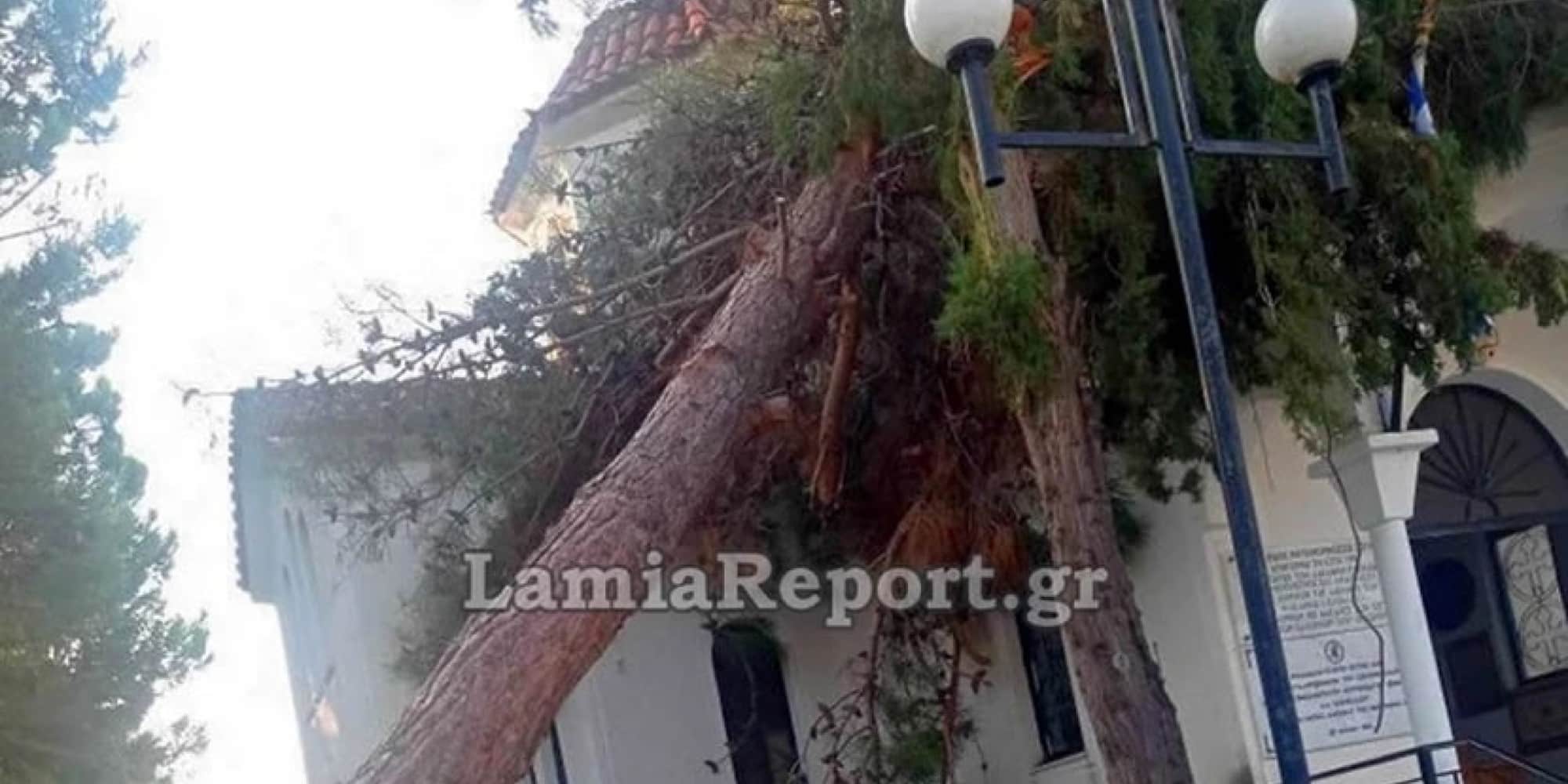 Η νεροποντή έριξε δέντρο πάνω σε εκκλησία στη Φθιώτιδα - κακοκαιρία