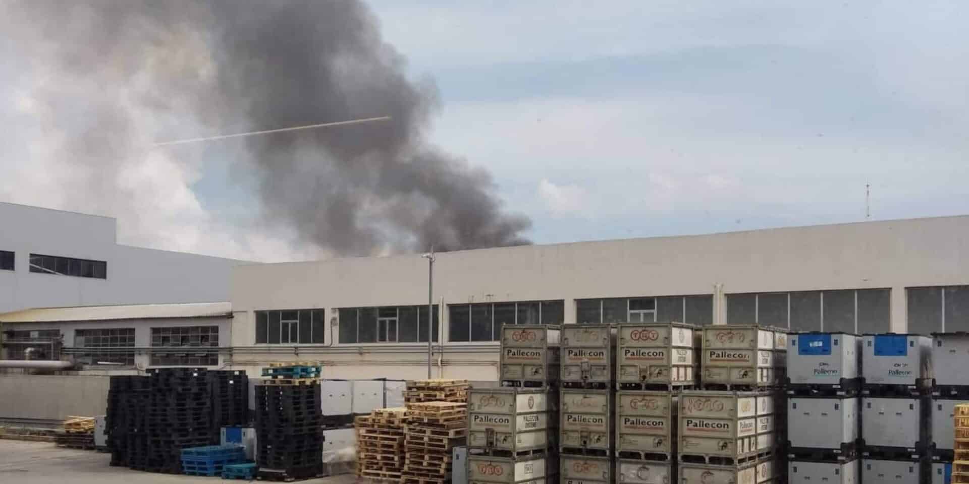 Φωτιά σε χώρο ανακύκλωσης στη Μάνδρα