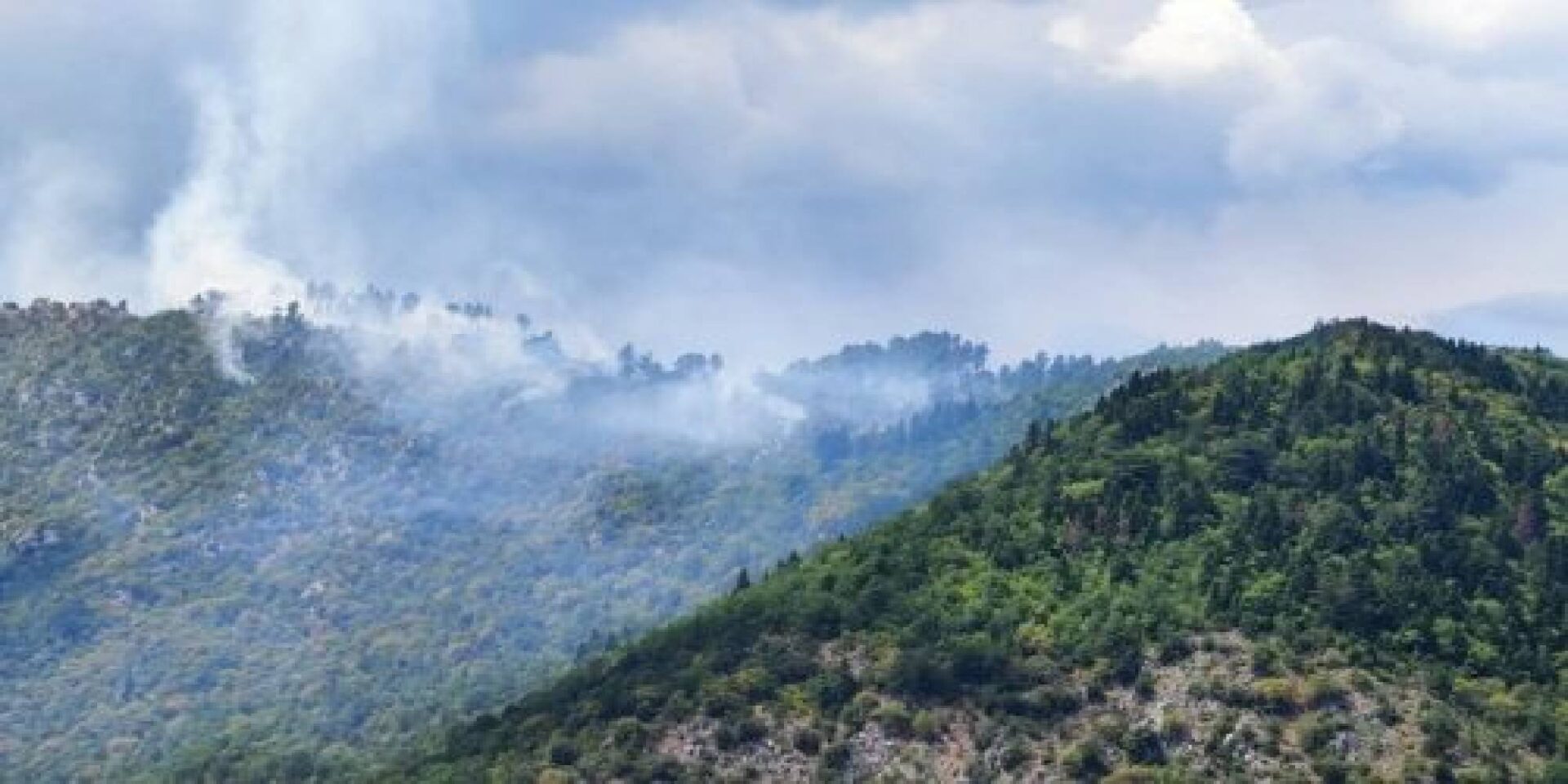Φωτιά σε δασική έκταση στην Κόνιτσα