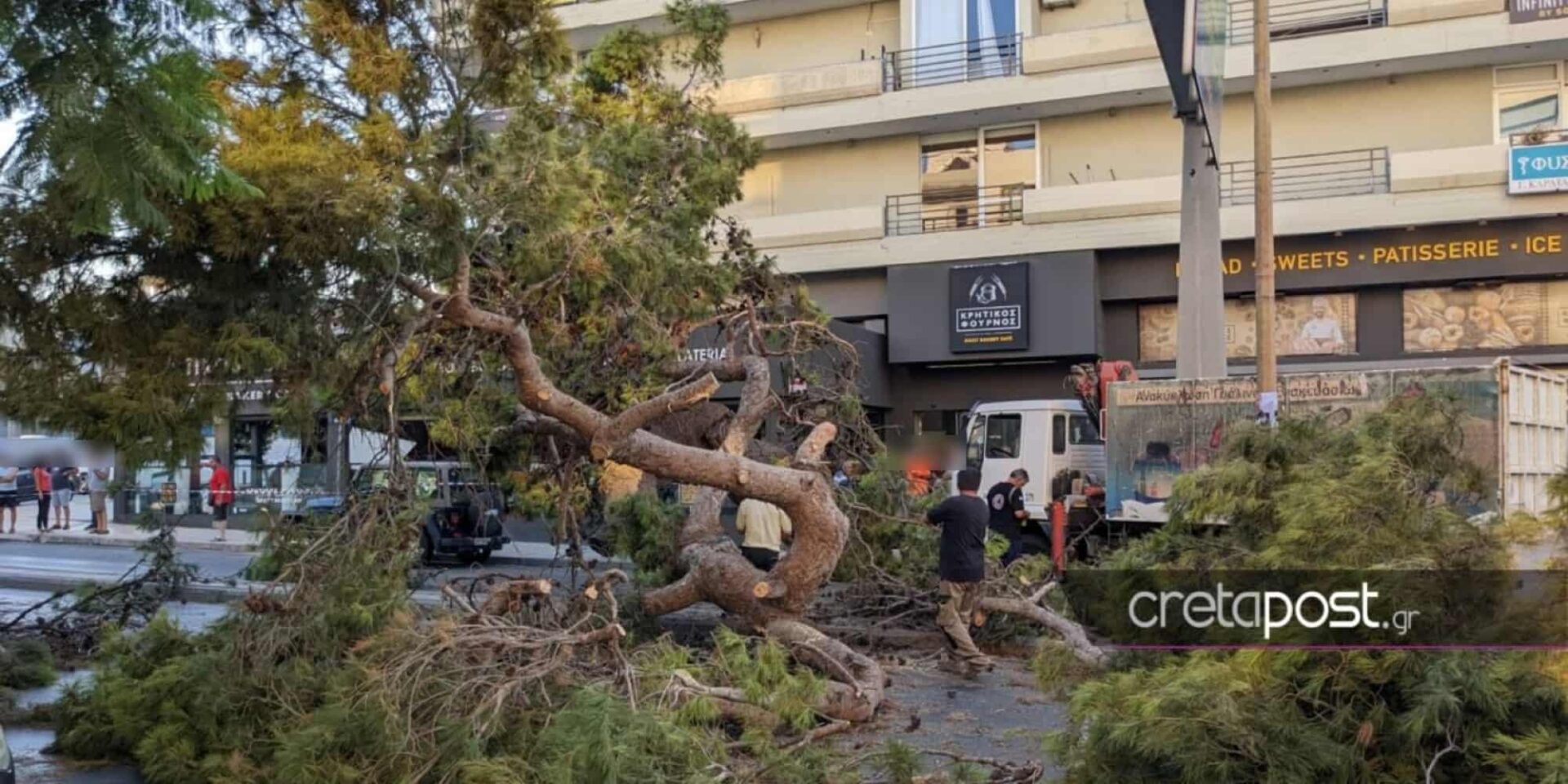 Το σημείο που δέντρο καταπλάκωσε 51χρονο στο Ηράκλειο