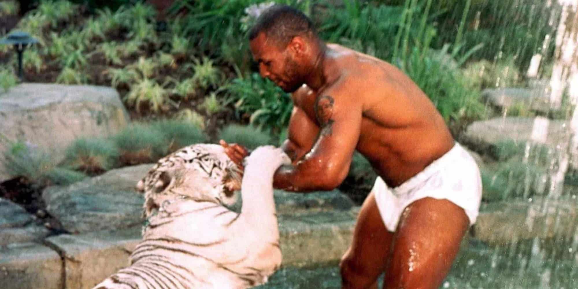 Ο Μάικ Τάισον παίζει με την τίγρη του