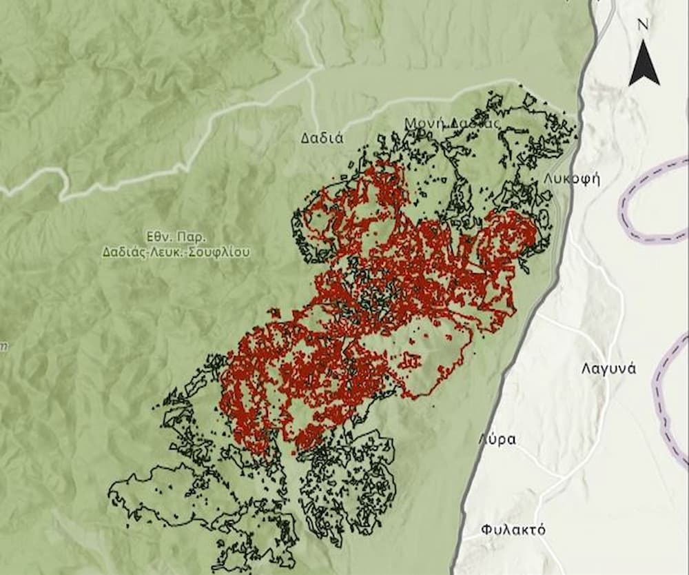 xartis dadia 1 - Φωτιά στη Δαδιά: Η καμένη έκταση ξεπέρασε τα 40.000 στρέμματα (εικόνα & βίντεο)