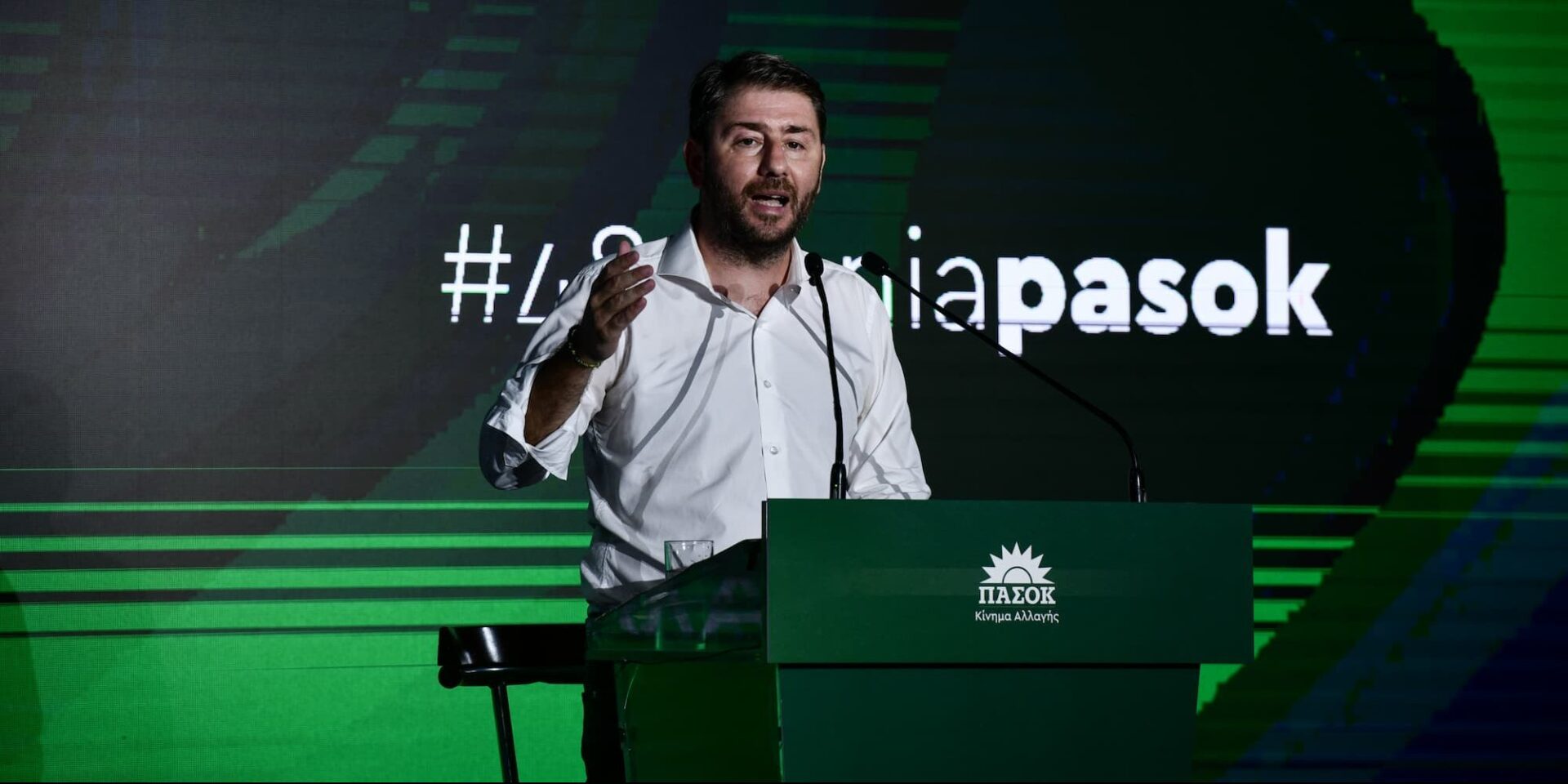 Ο Νίκος Ανδρουλάκης