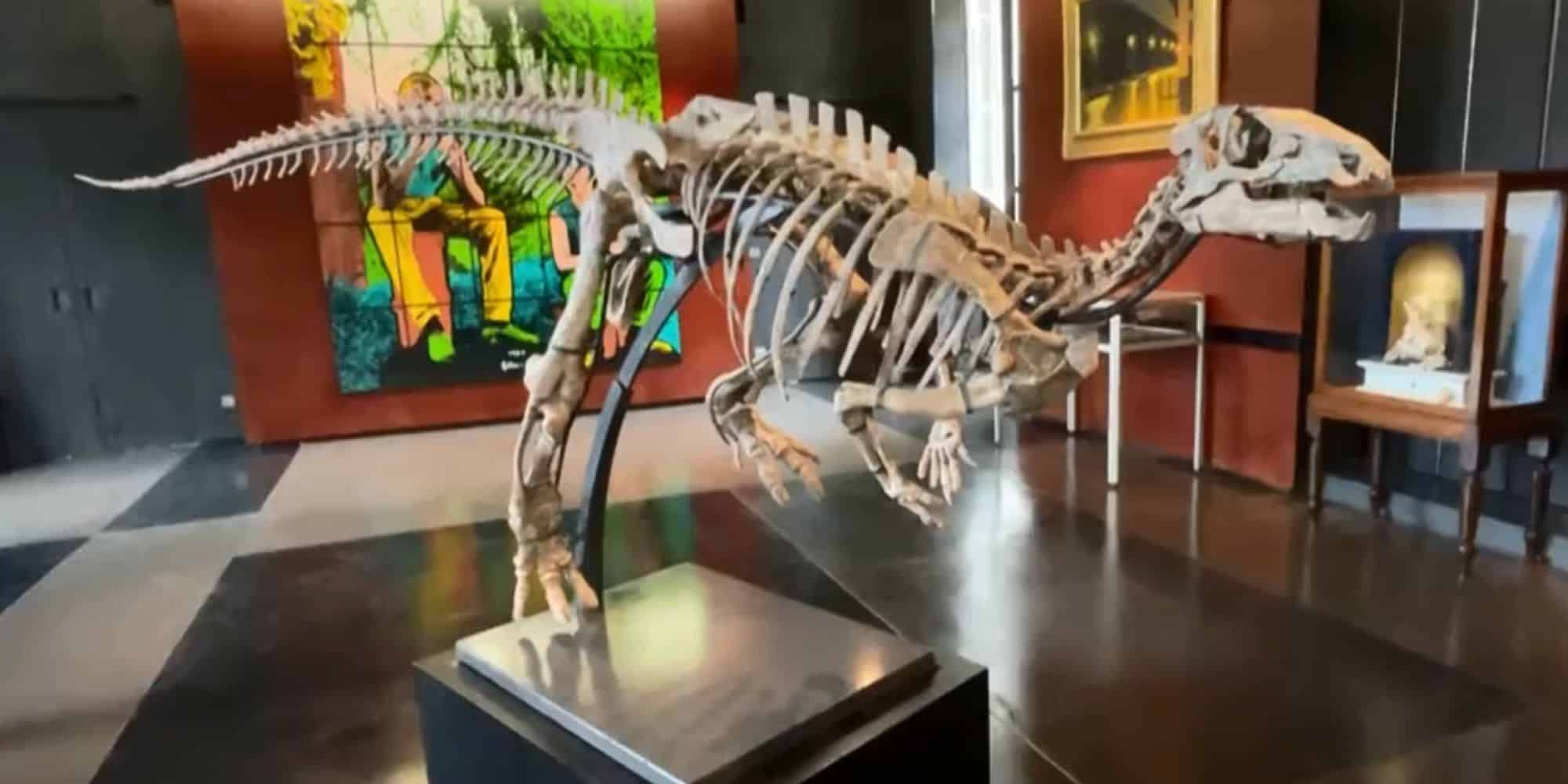 Ο σκελετός του δεινοσαύρου που θα βγει στο «σφυρί»