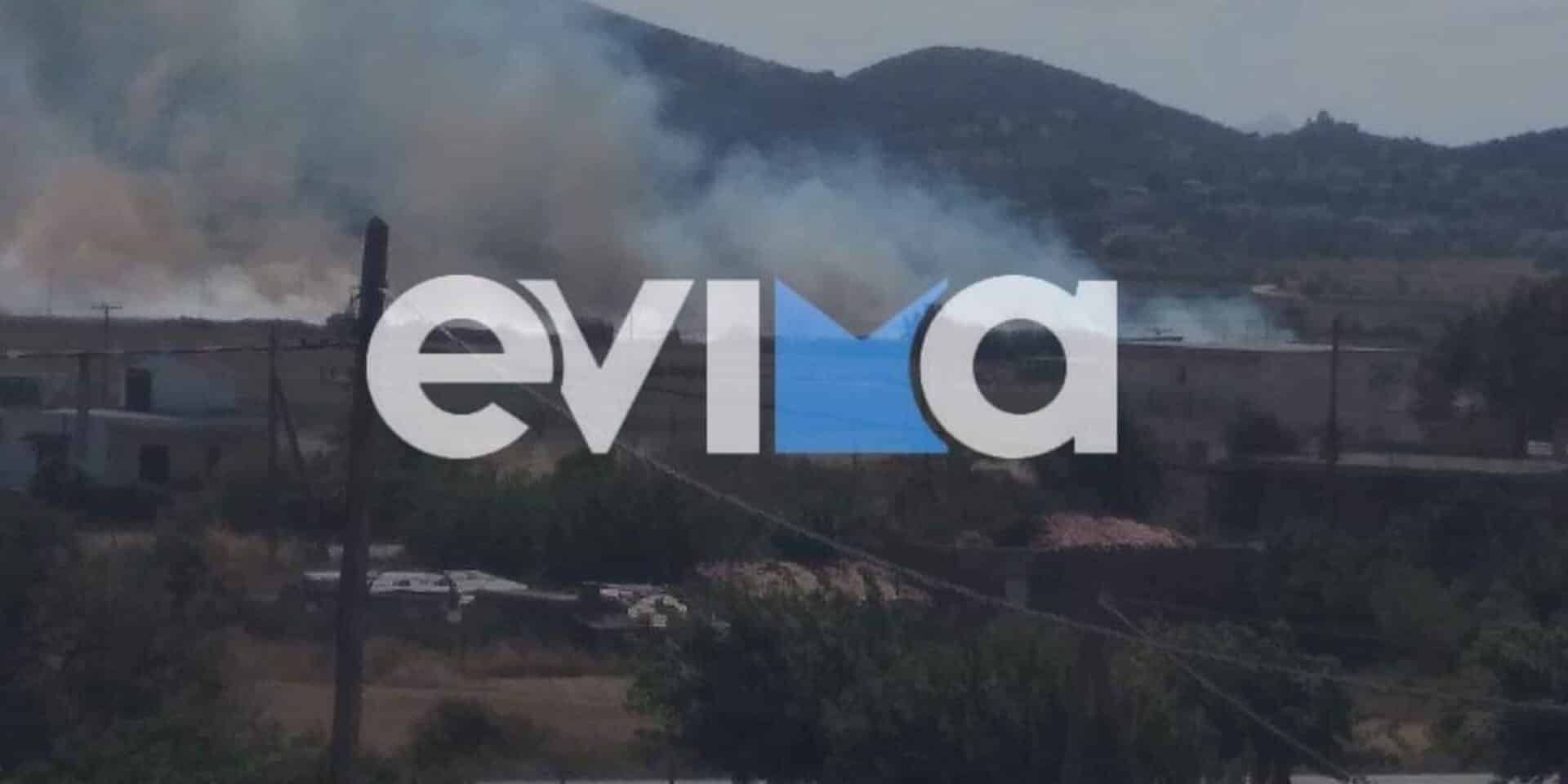 Φωτιά στο χωριό Κριεζά στην Εύβοια