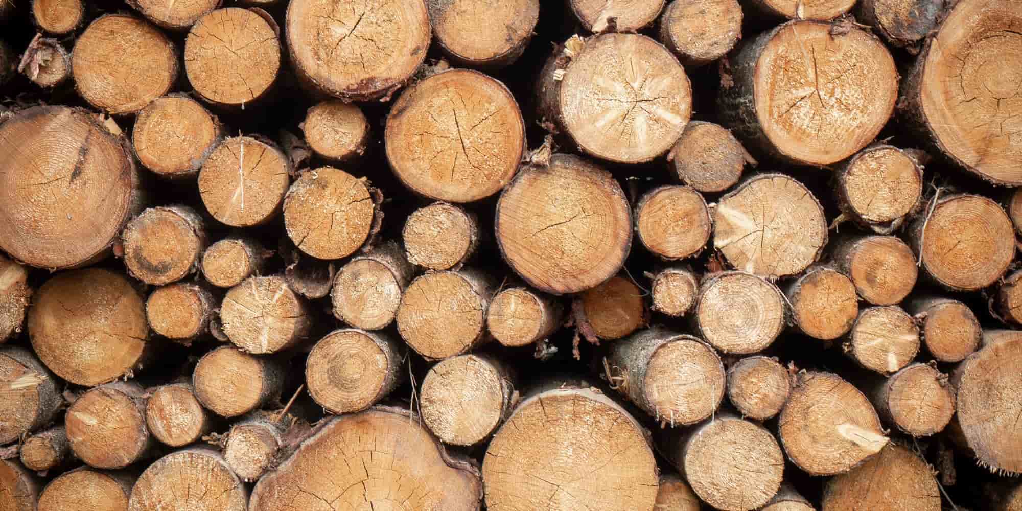 Κορμοί ξύλων - καυσόξυλα