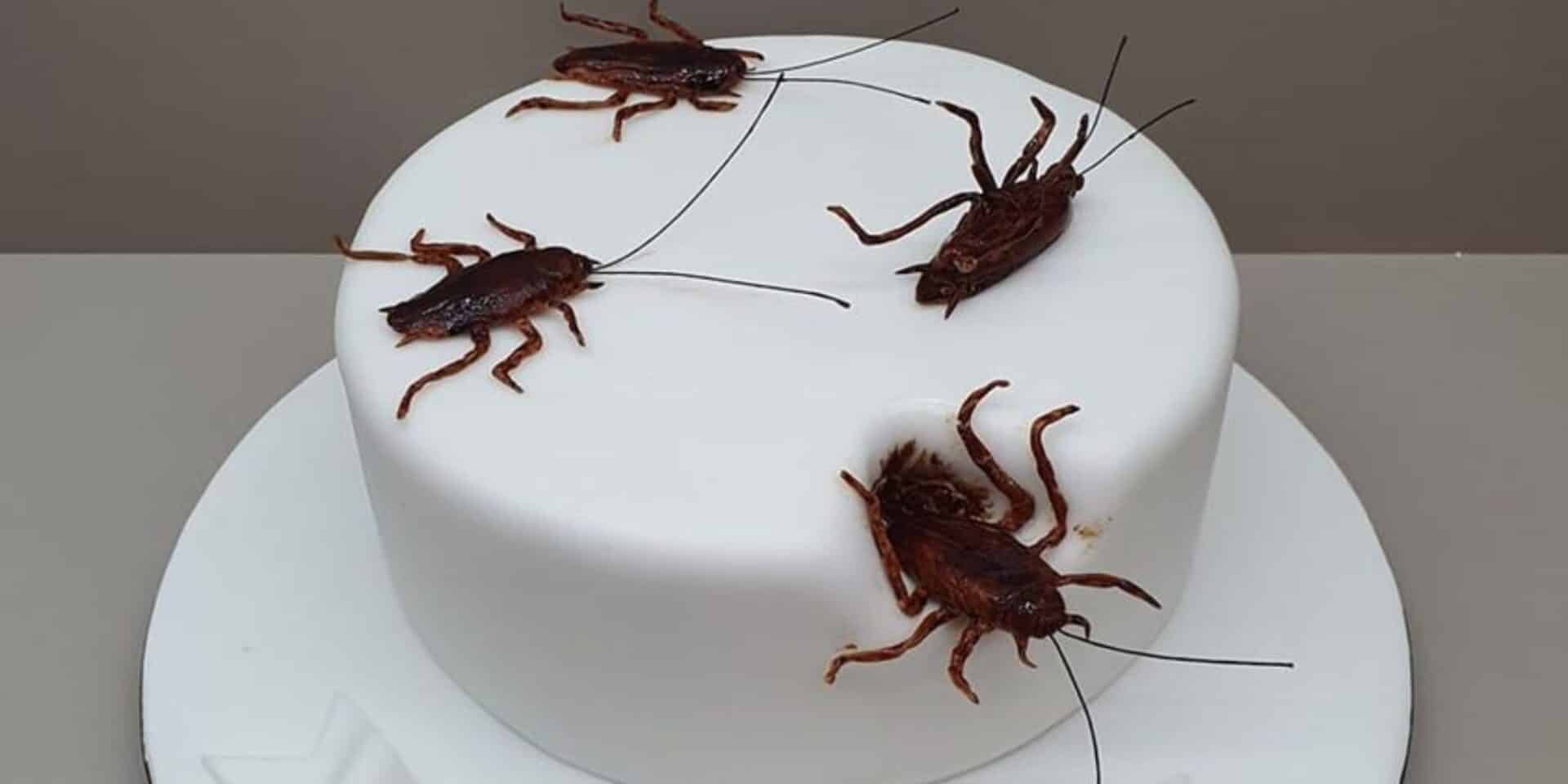 Η τούρτα με τις κατσαρίδες