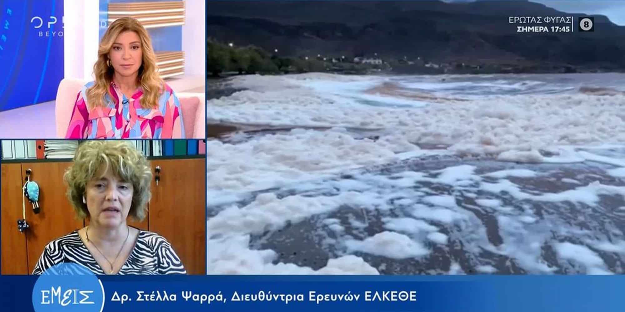 H διευθύντρια ερευνών του ΕΛΚΕΘΕ μιλά για τον αφρό στις ακτές της Κρήτης