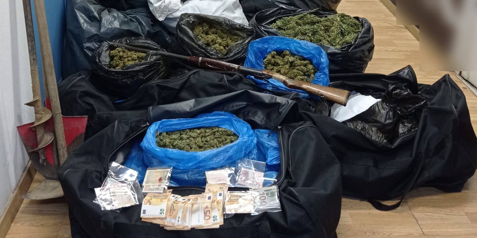 Εξάρθρωση εγκληματικής οργάνωσης για διακίνηση κάνναβης