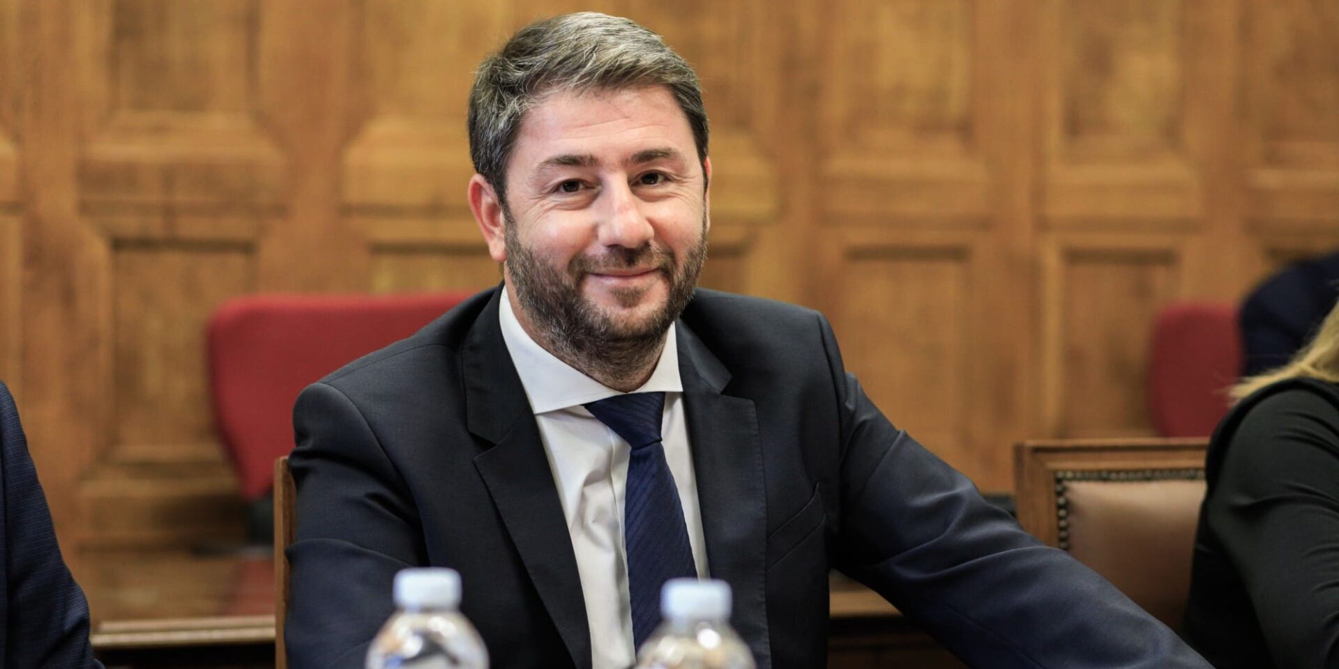 Ο πρόεδρος του ΠΑΣΟΚ, Νίκος Ανδρουλάκης