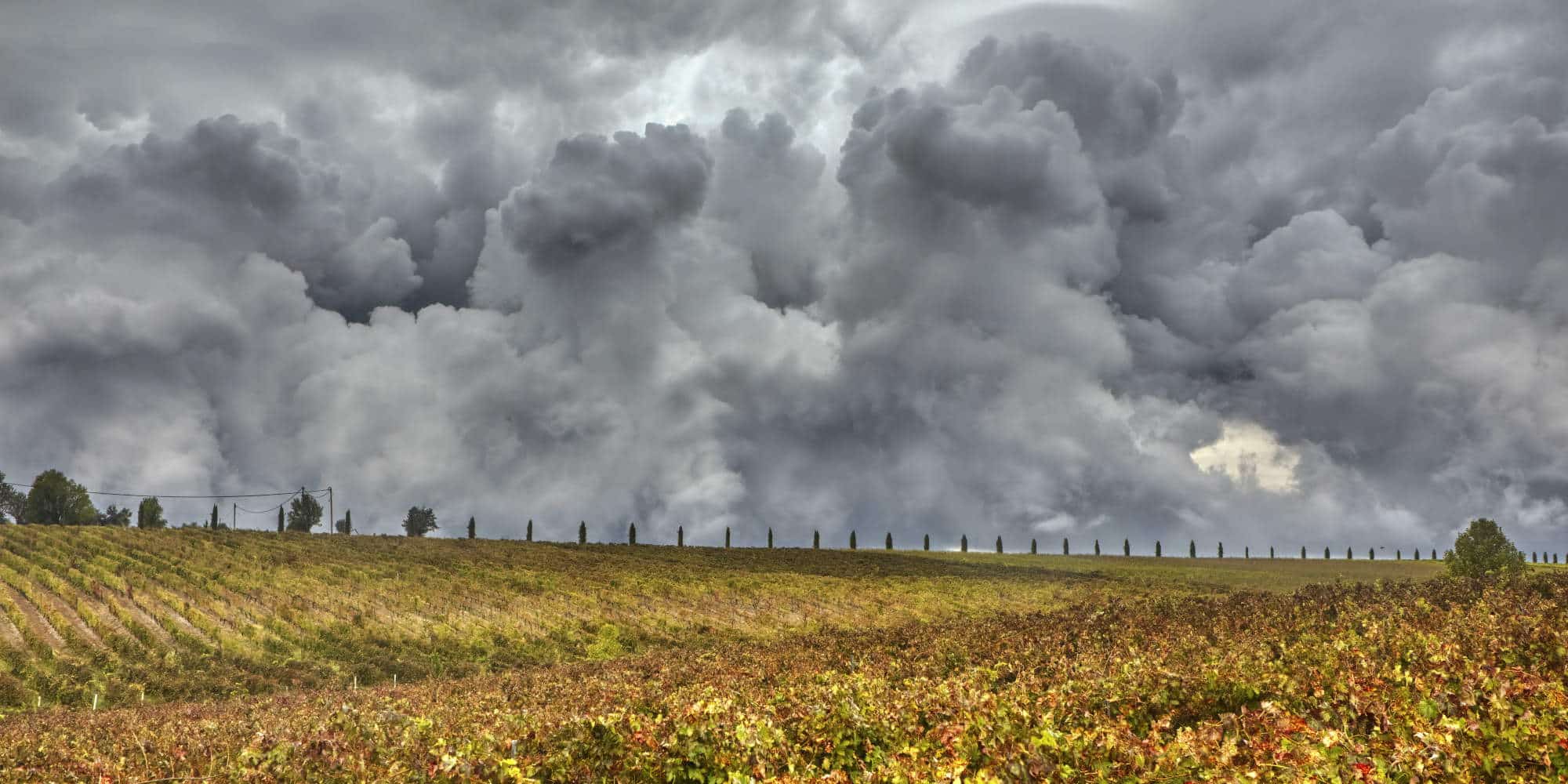 Απειλητικά σύννεφα φέρνει η κακοκαιρία σε αμπελώνα στην Επανομή