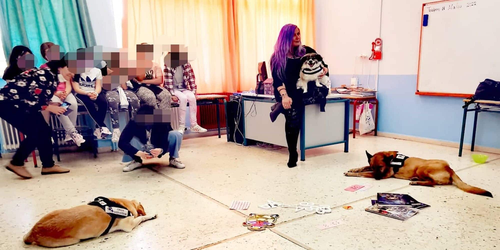 skyloi sxoleio - Θεσσαλονίκη: Σκύλοι που μαχαιρώθηκαν και πυροβολήθηκαν μπαίνουν στα σχολεία και μαθαίνουν στα παιδιά την αγάπη (εικόνες)