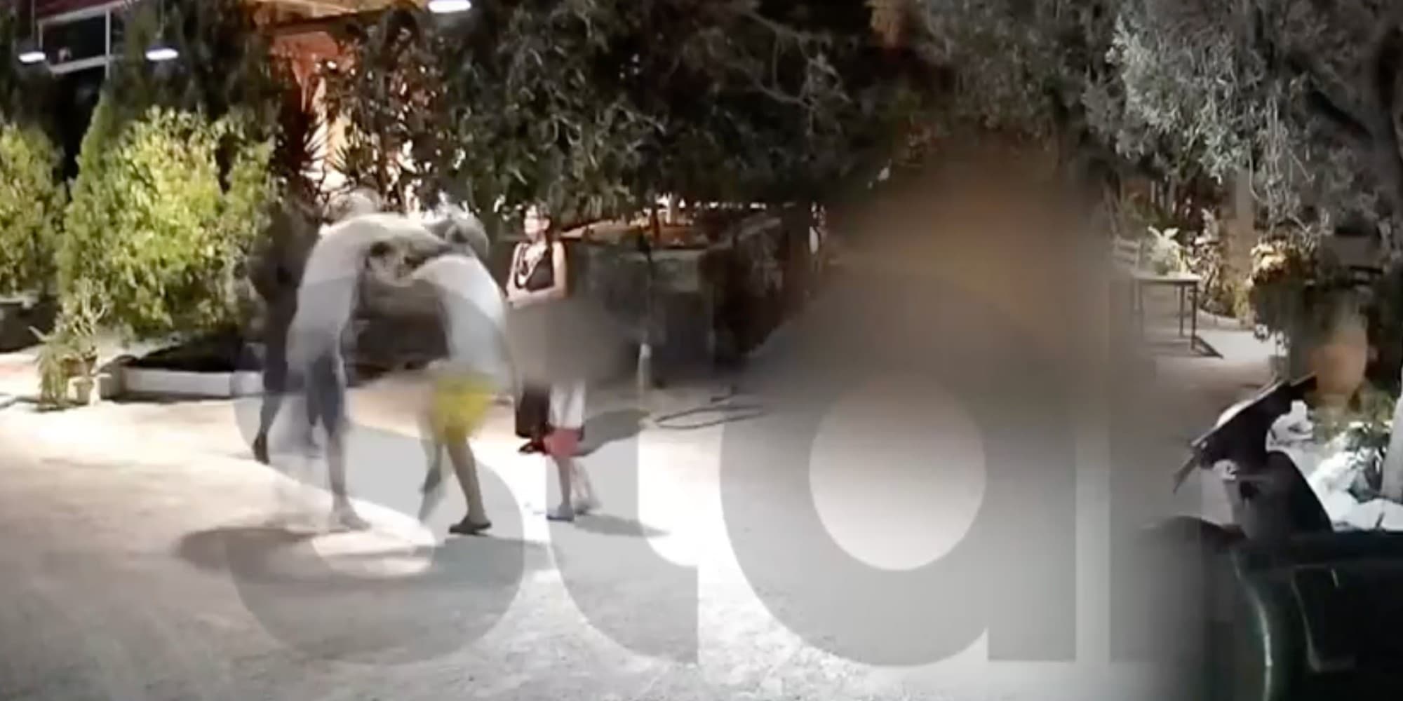 Σοκαριστικό βίντεο από τον ξυλοδαρμό ξενοδόχου και του γιου της στην Αίγινα