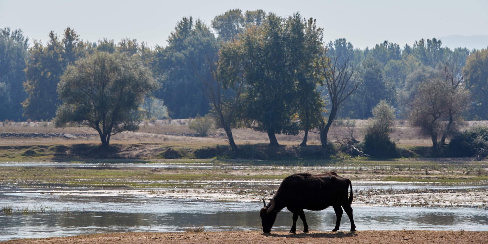 Εικόνα από τις εκβολές του ποταμού Στρυμόνα