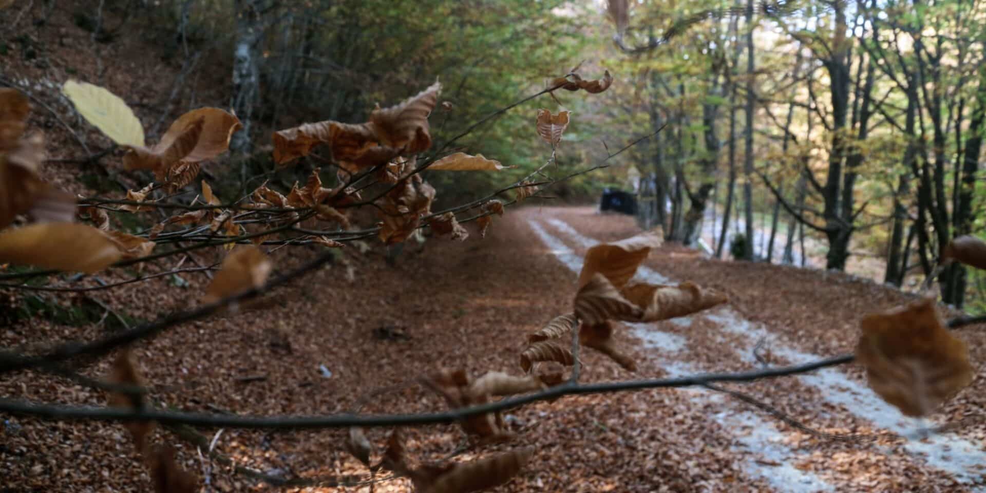 Φθινοπωρινός καιρός