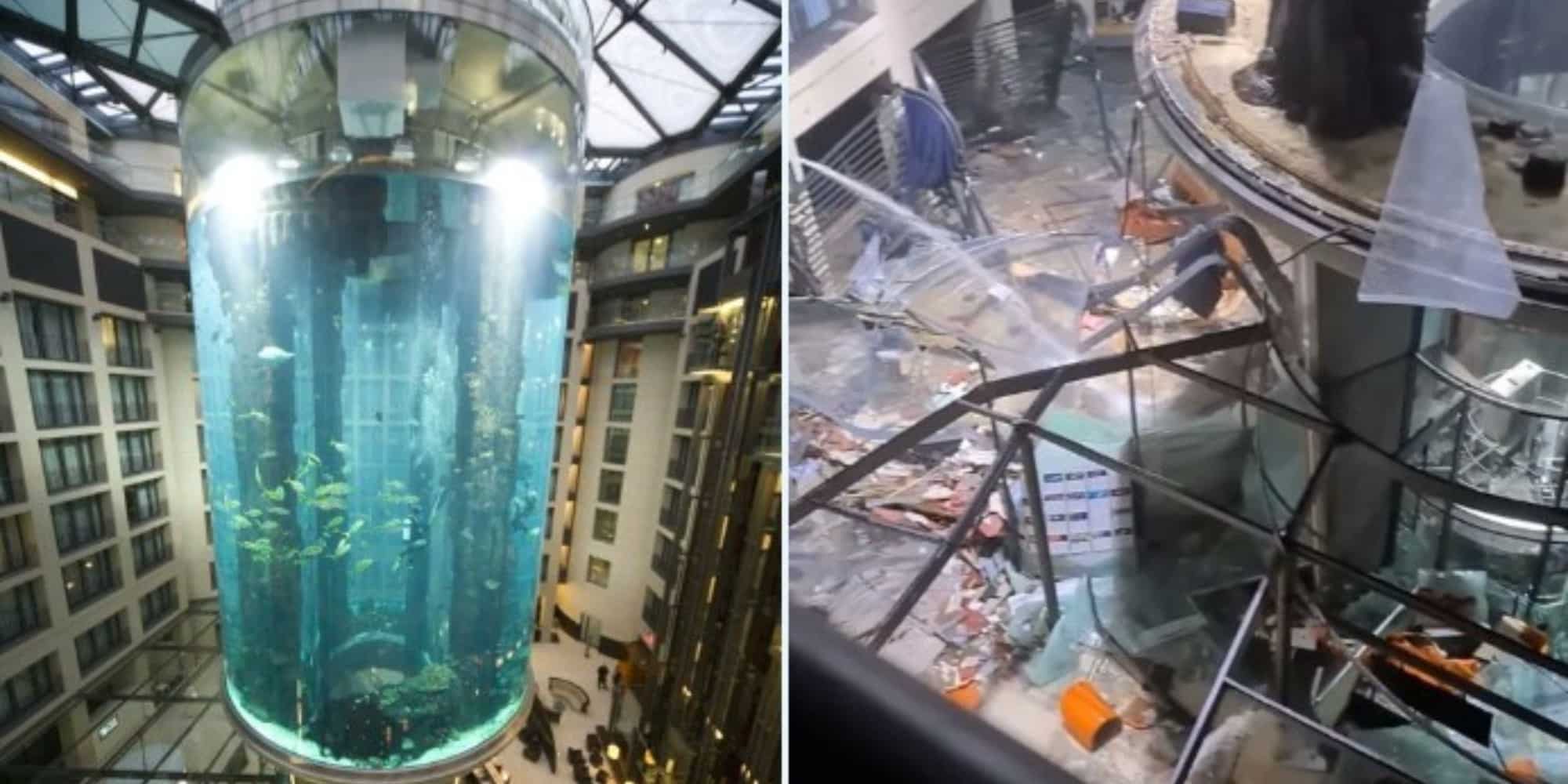Το ενυδρείο στο ξενοδοχείο, πριν και μετά την έκρηξη