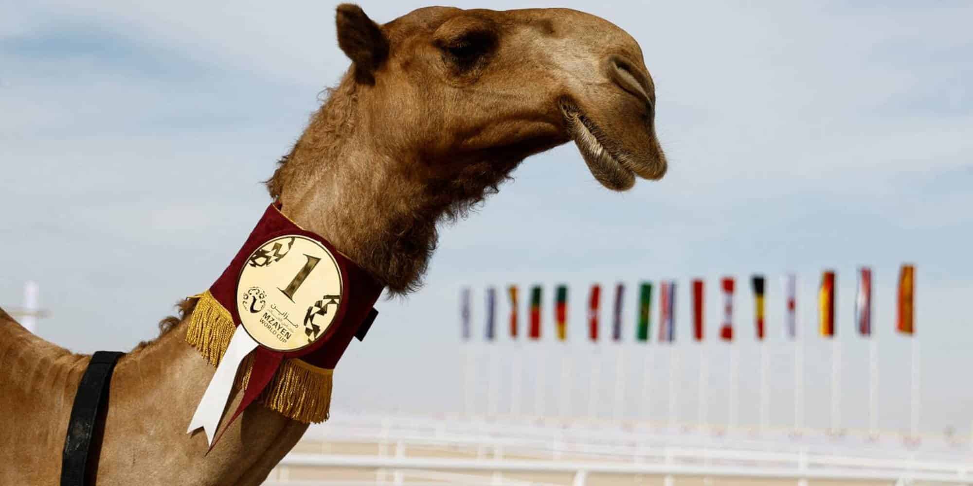 Ο «ιός της καμήλας» και η σχέση του με το Μουντιάλ του Κατάρ