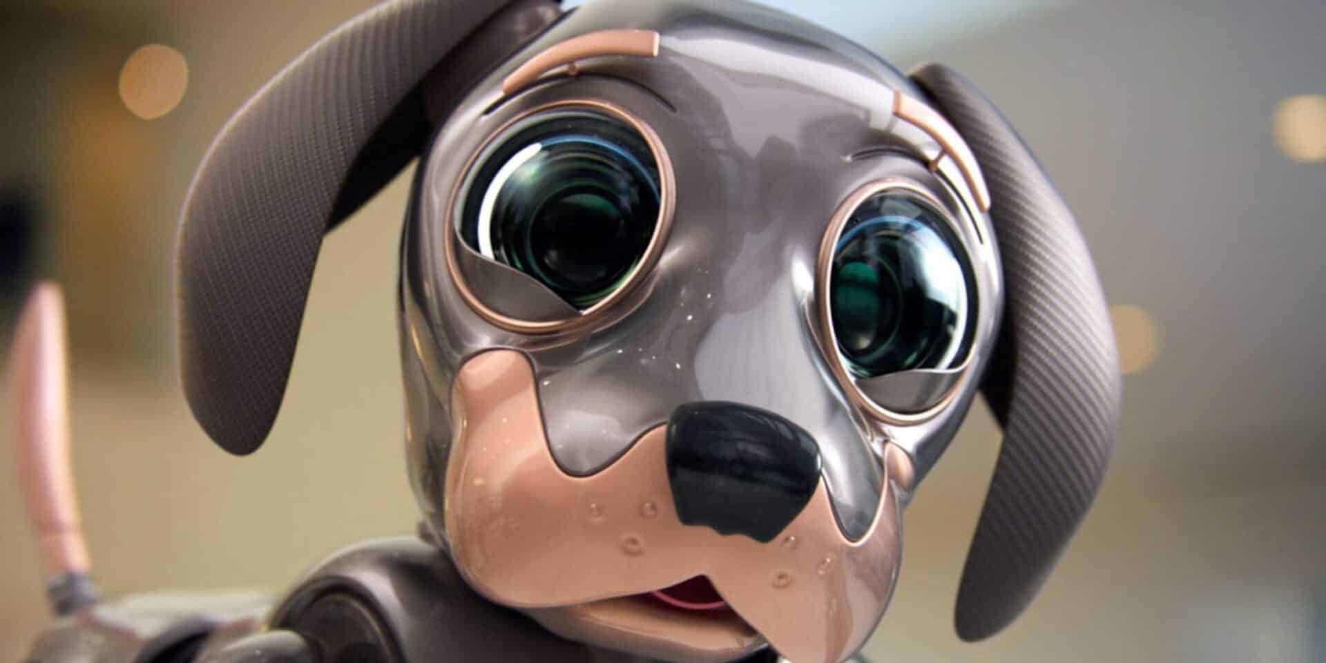 Ο αξιολάτρευτος Robo Dog της Kia