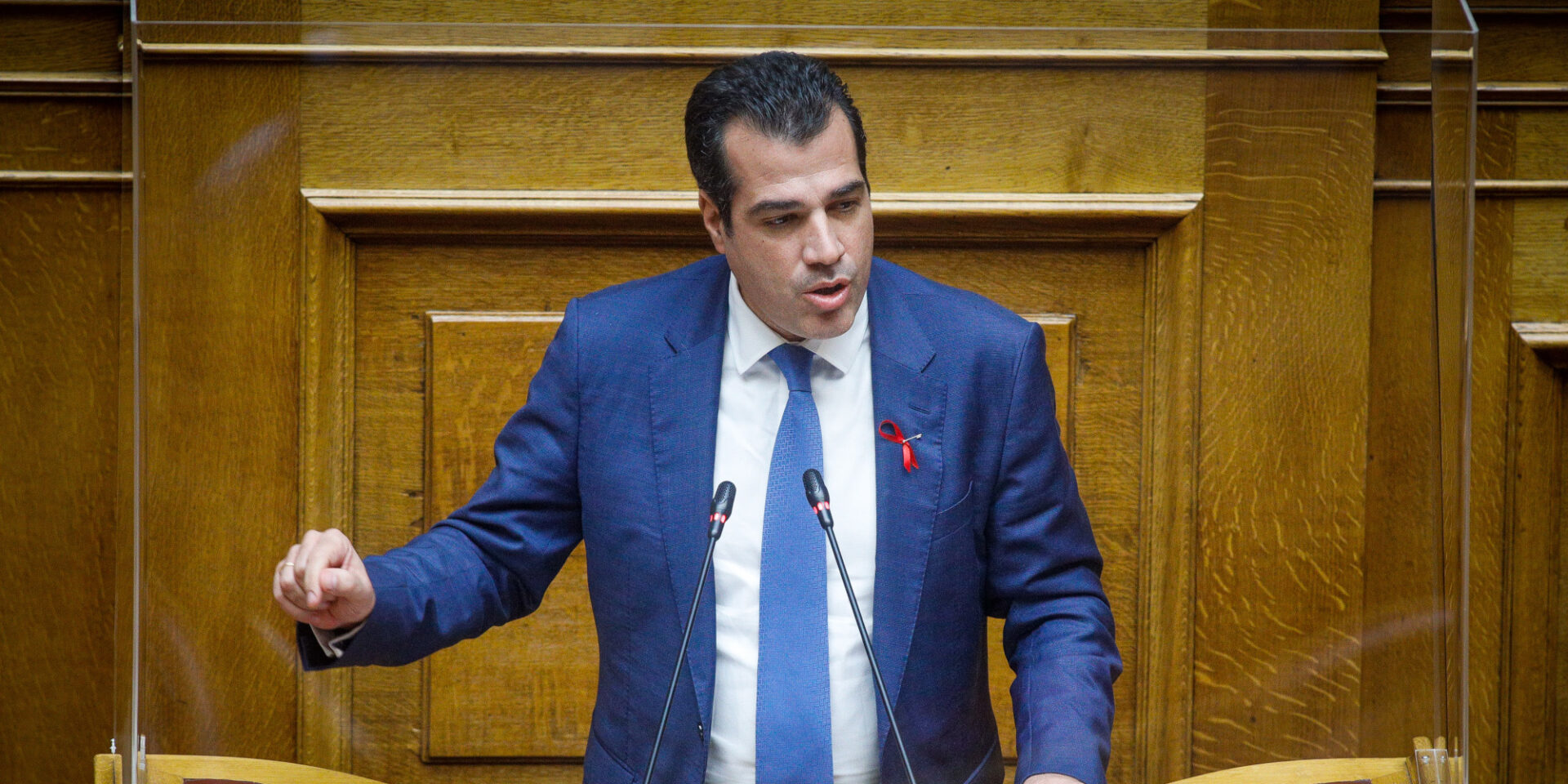 Ο Θάνος Πλεύρης