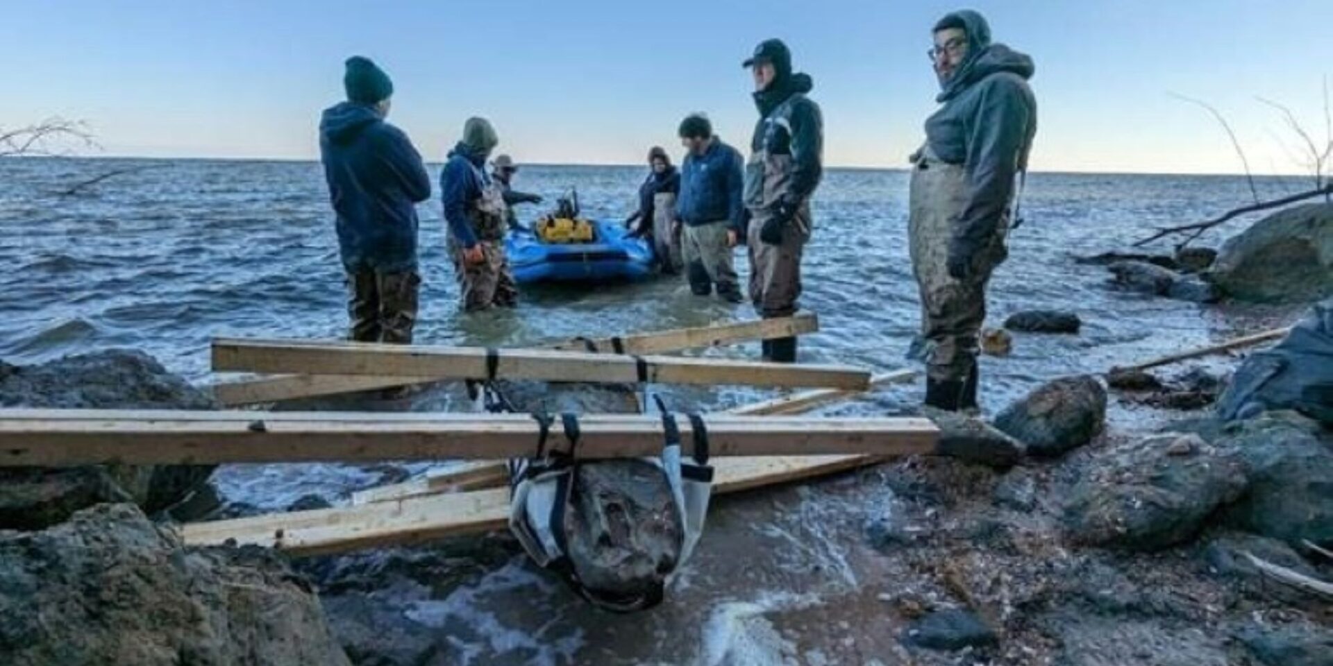 Εικόνα από το κρανίο της φάλαινας