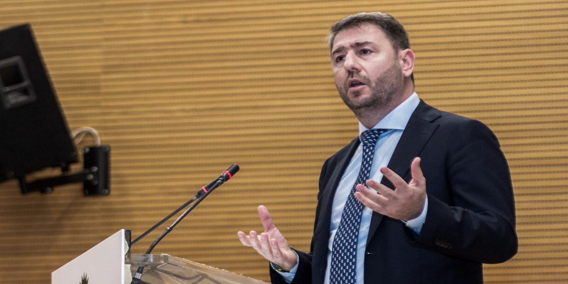 Ο Νίκος Ανδρουλάκης σε ομιλία στην Χαλκίδα
