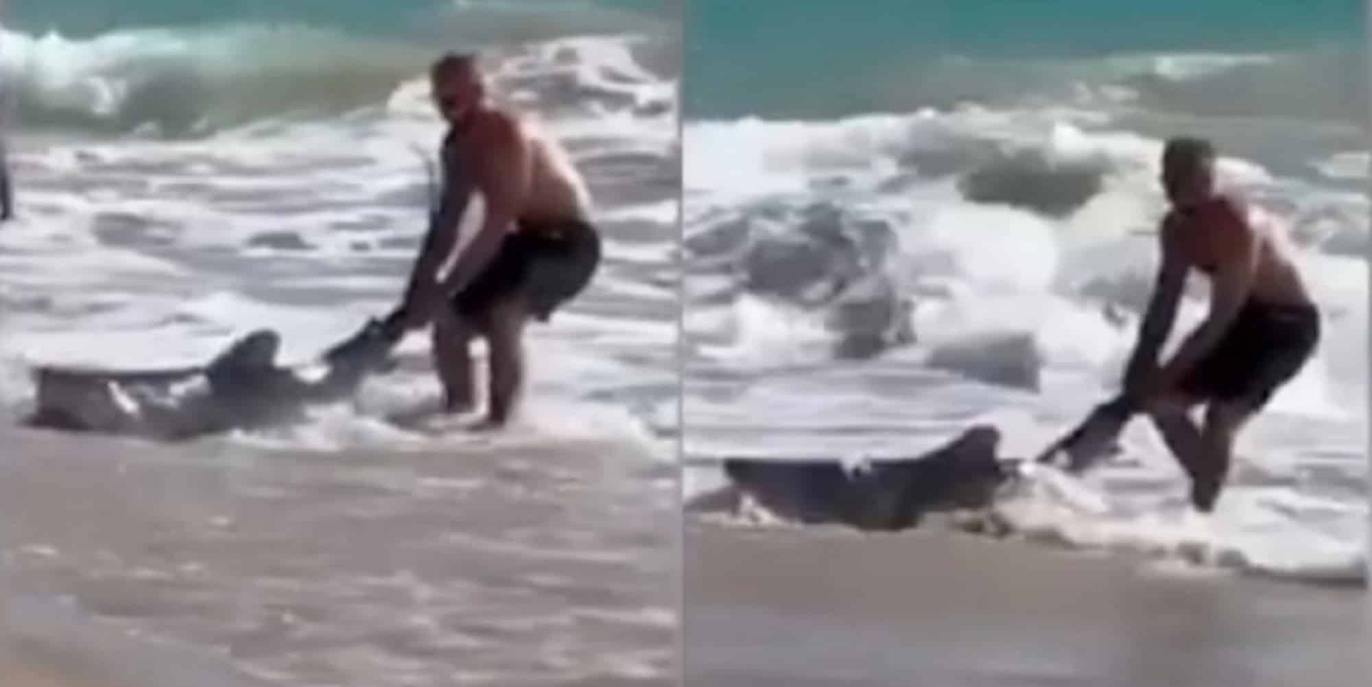 Άνδρας στην Αυστραλία τράβηξε καρχαρία από το πτερύγιο