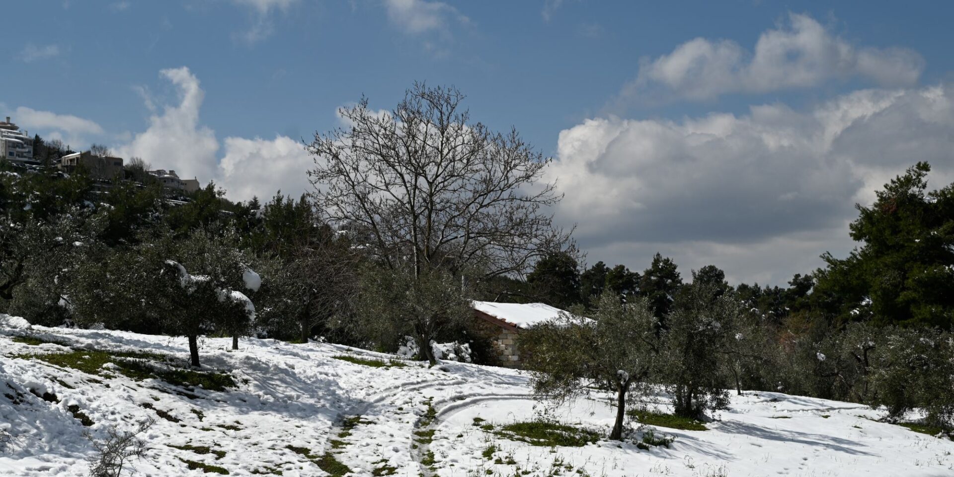 Χιονισμένος καιρός στον Διόνυσο