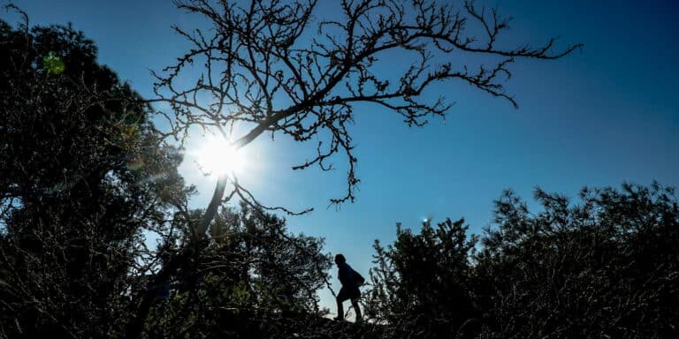 Καιρός σήμερα (27/11): Ηλιοφάνεια και θερμοκρασία έως 20 βαθμούς