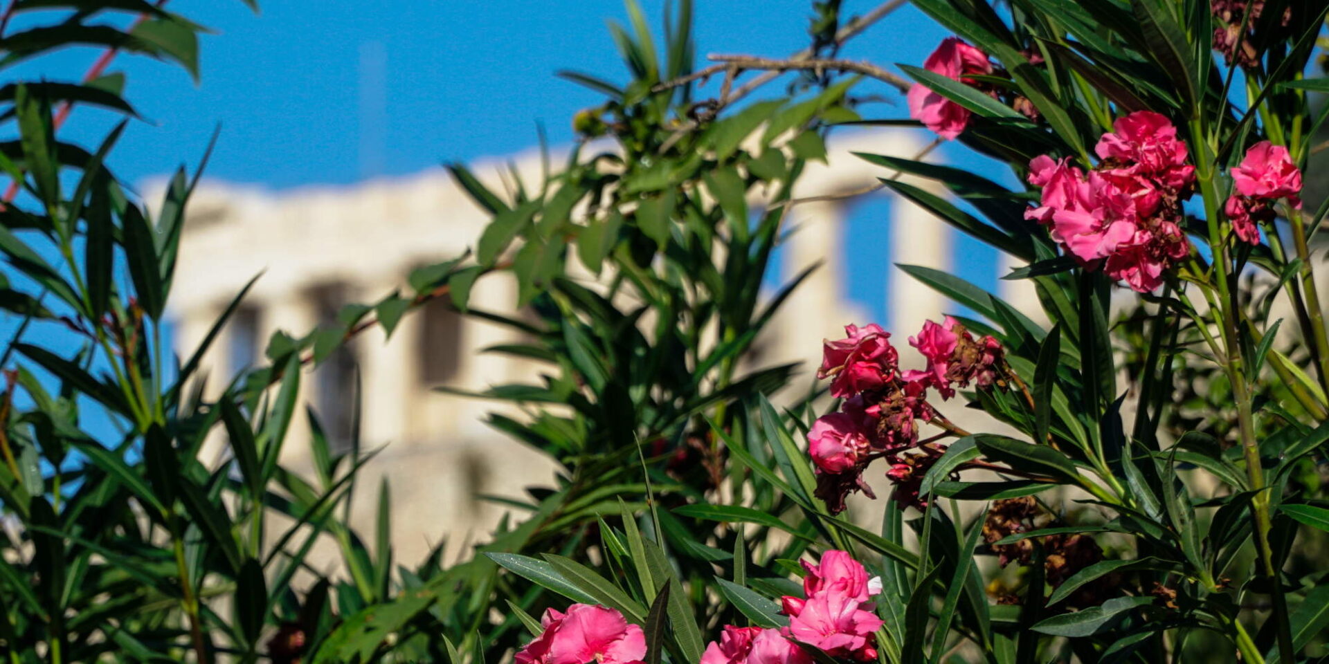 Ηλιόλουστος καιρός κάτω από την Ακρόπολη στο κέντρο της Αθήνας