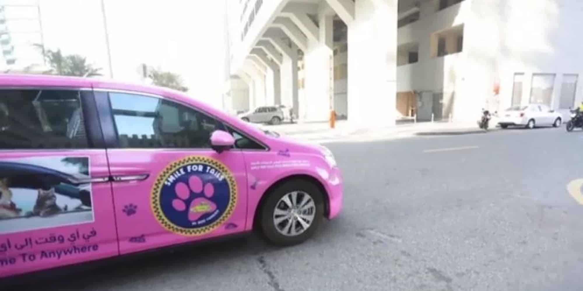 Ταξί για σκύλους στο Ντουμπάι