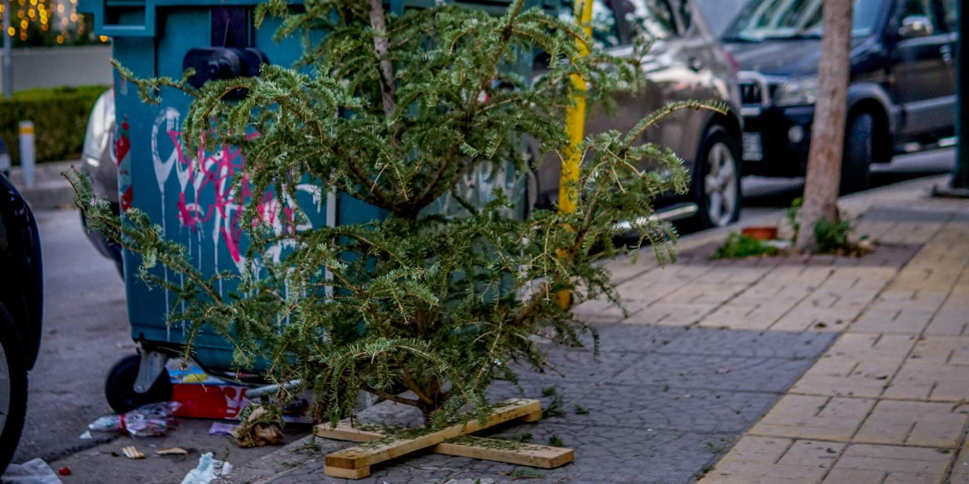 Πεταμένο χριστουγεννιάτικο δέντρο