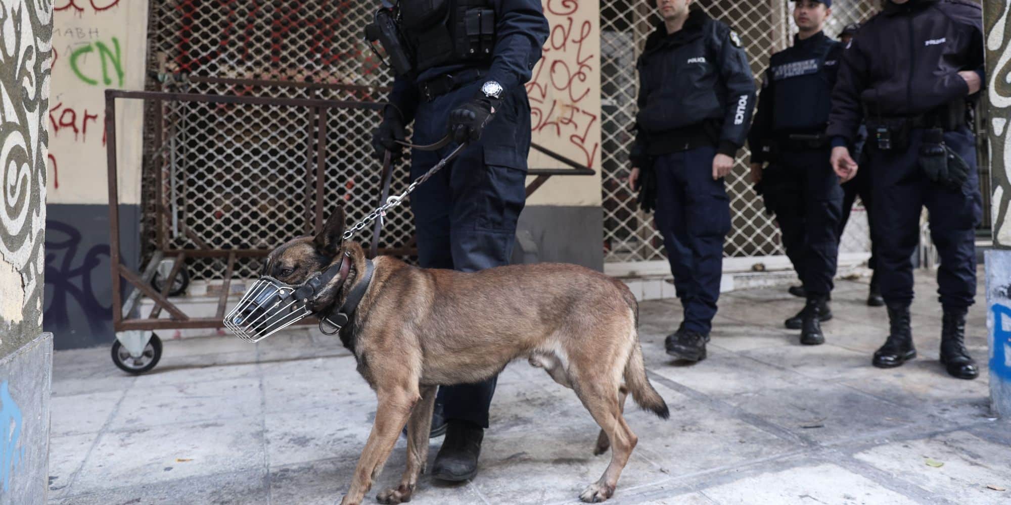 Σκύλος της Αστυνομίας