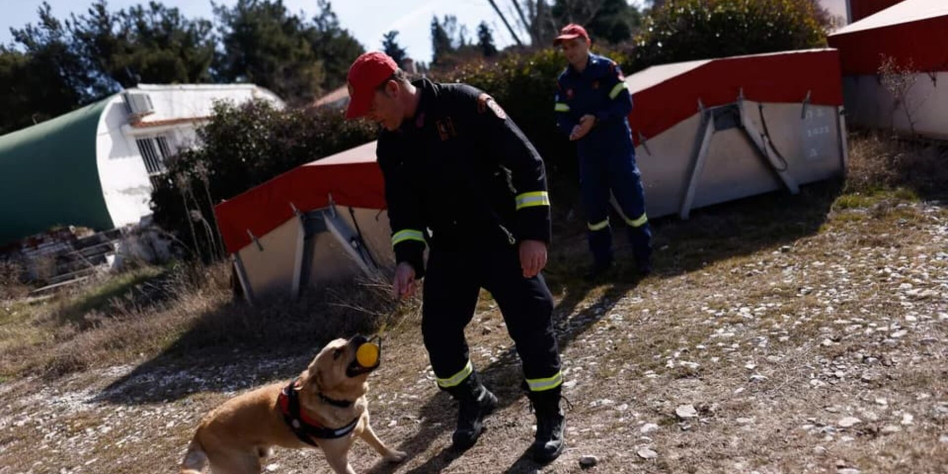 Σκύλος της ΕΜΑΚ