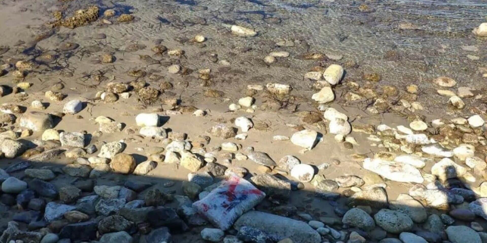 Εντοπίστηκε κάνναβη σε παραλία στο Ρέθυμνο