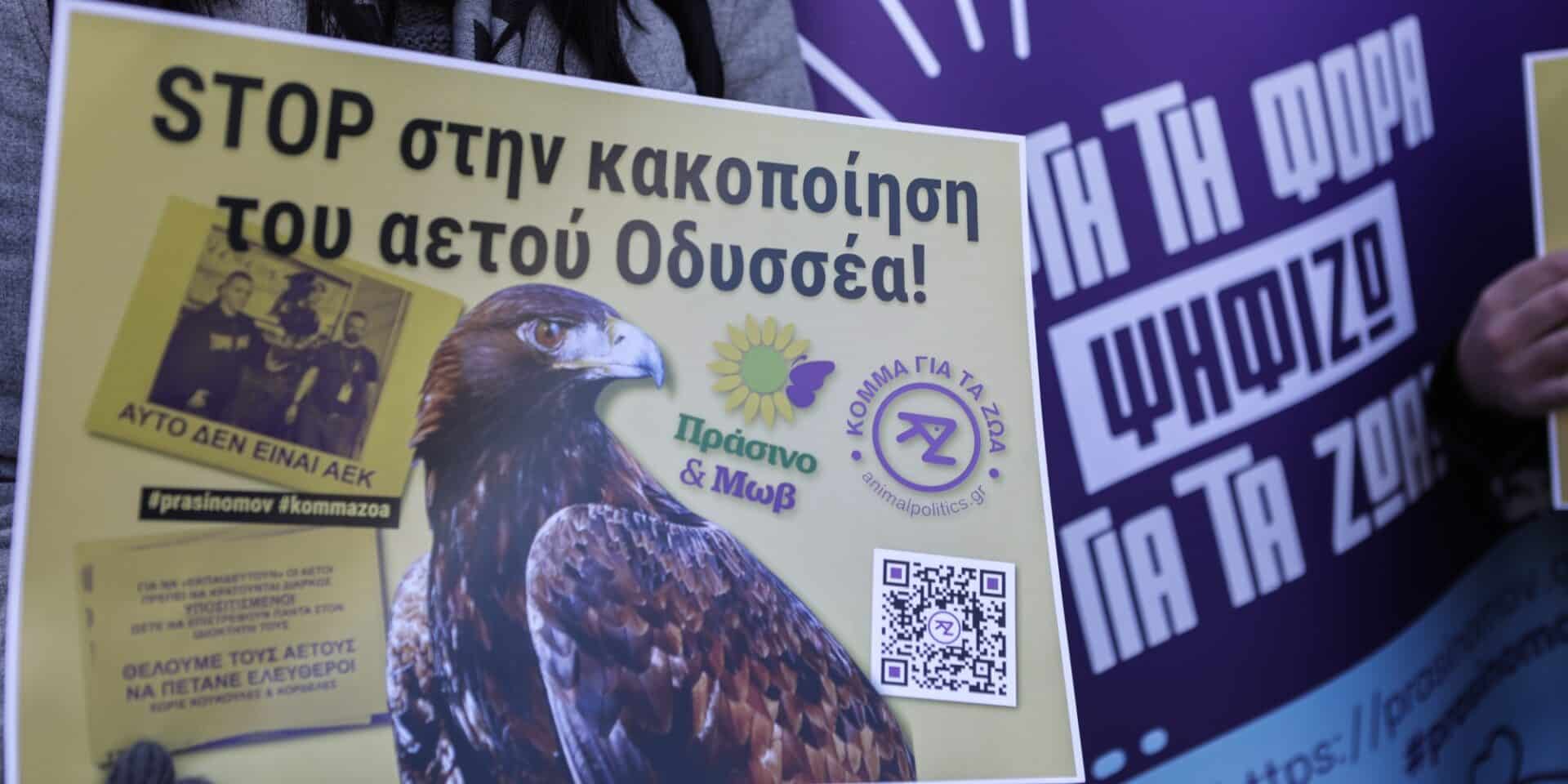 Stop στην κακοποίηση του Οδυσσέα της ΑΕΚ