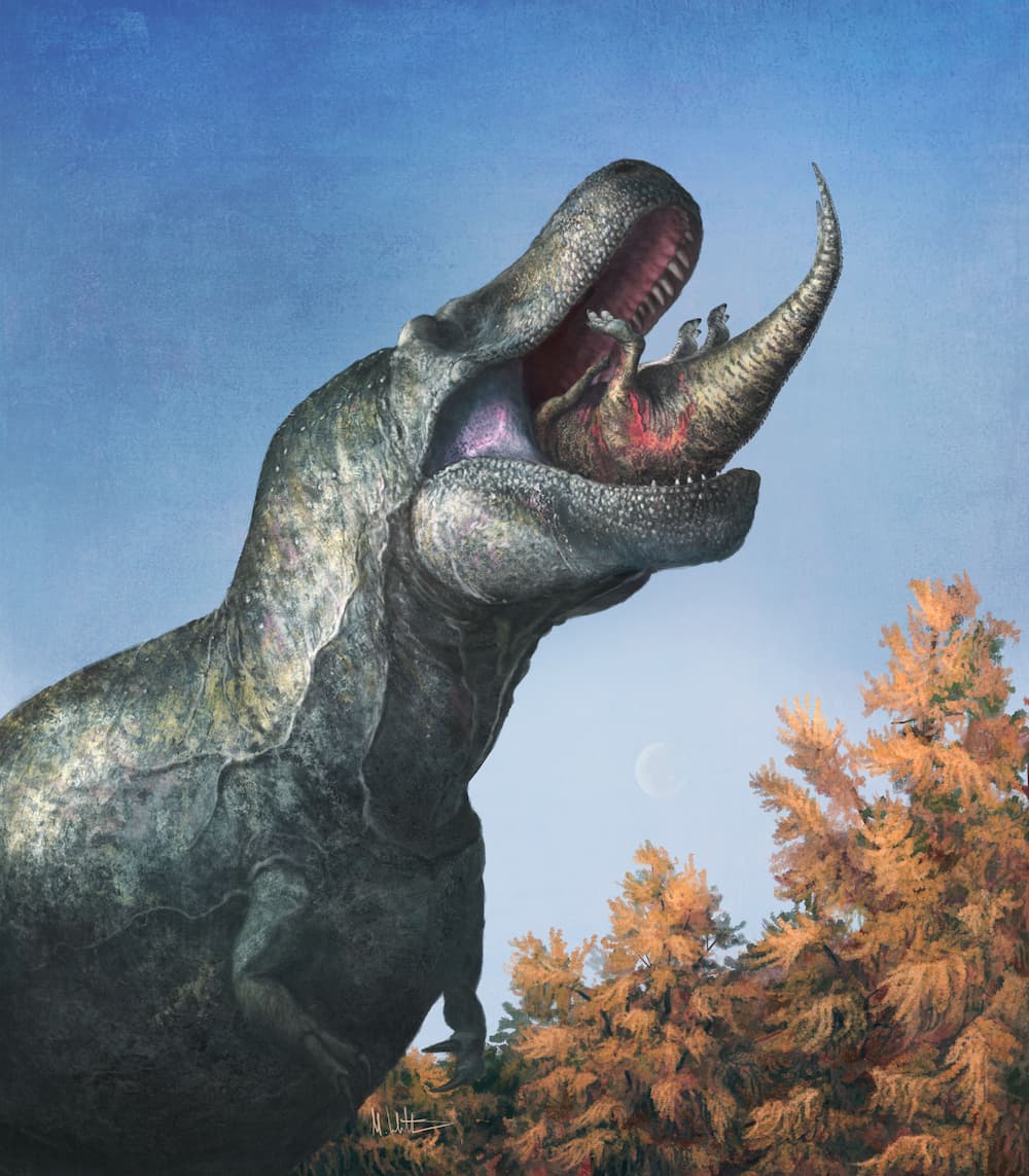 Edmontosaurus 31 3 23 - Ανατροπή: Τα μεγάλα δόντια του Τυραννόσαυρου Ρεξ δεν προεξείχαν, σύμφωνα με νέα μελέτη (εικόνες)