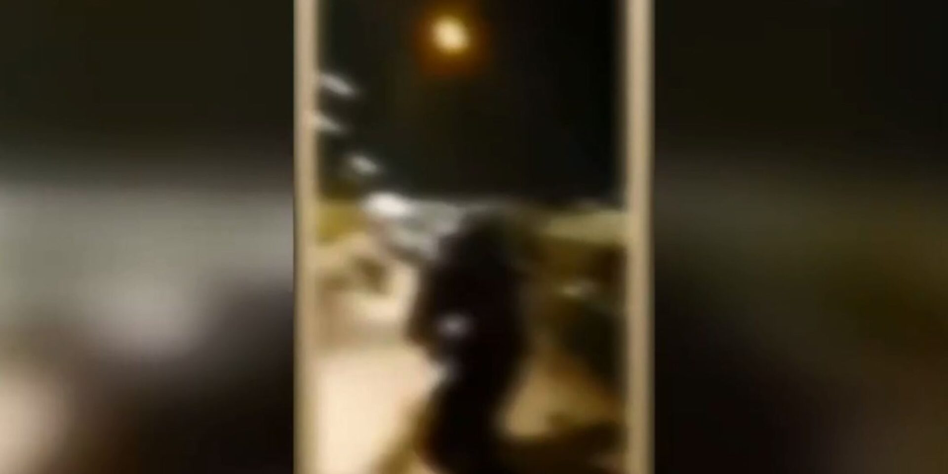 Εικόνα από τον ξυλοδαρμό του τράπερ