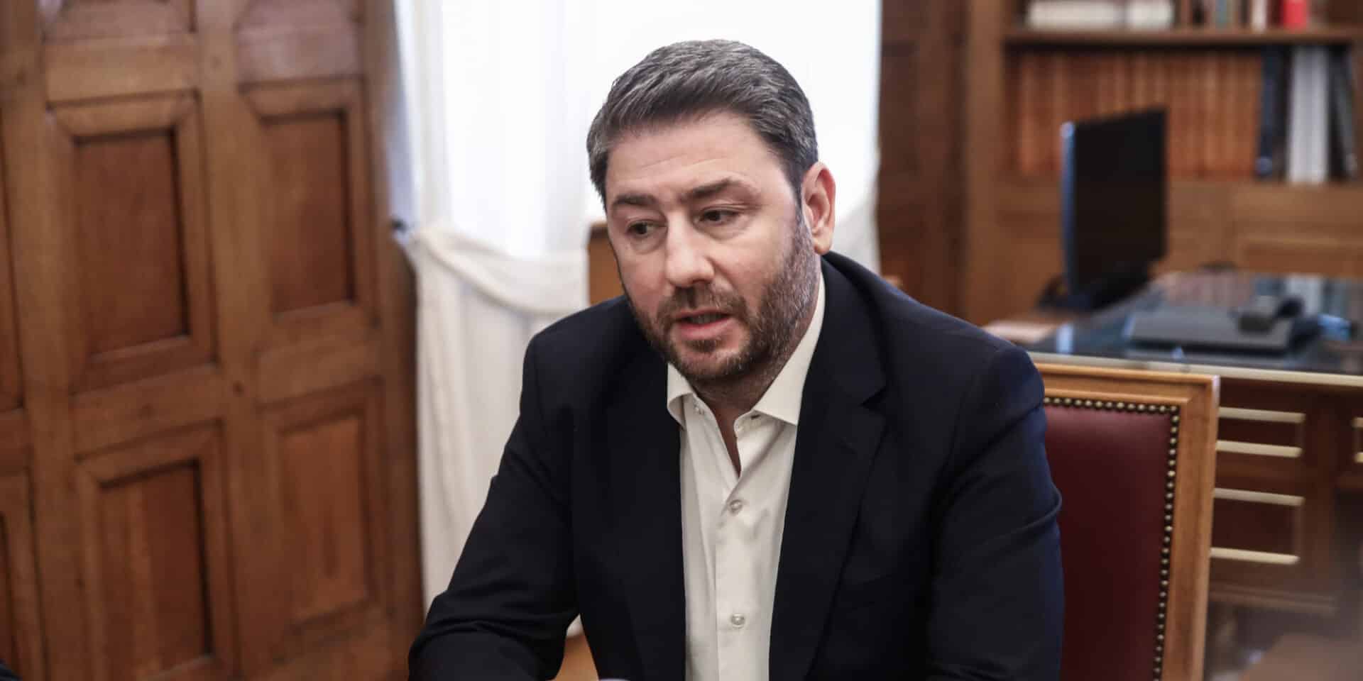 Ο πρόεδρος του ΠΑΣΟΚ Ν. Ανδρουλάκης