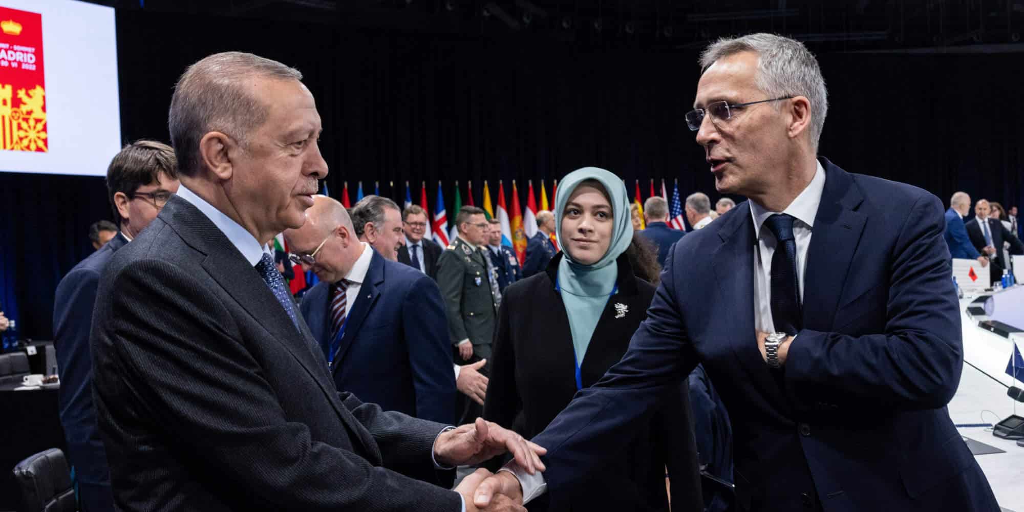 Ο Ερντογάν και ο Γενικός Γραμματέας του ΝΑΤΟ, Γενς Στόλτενμπεργκ