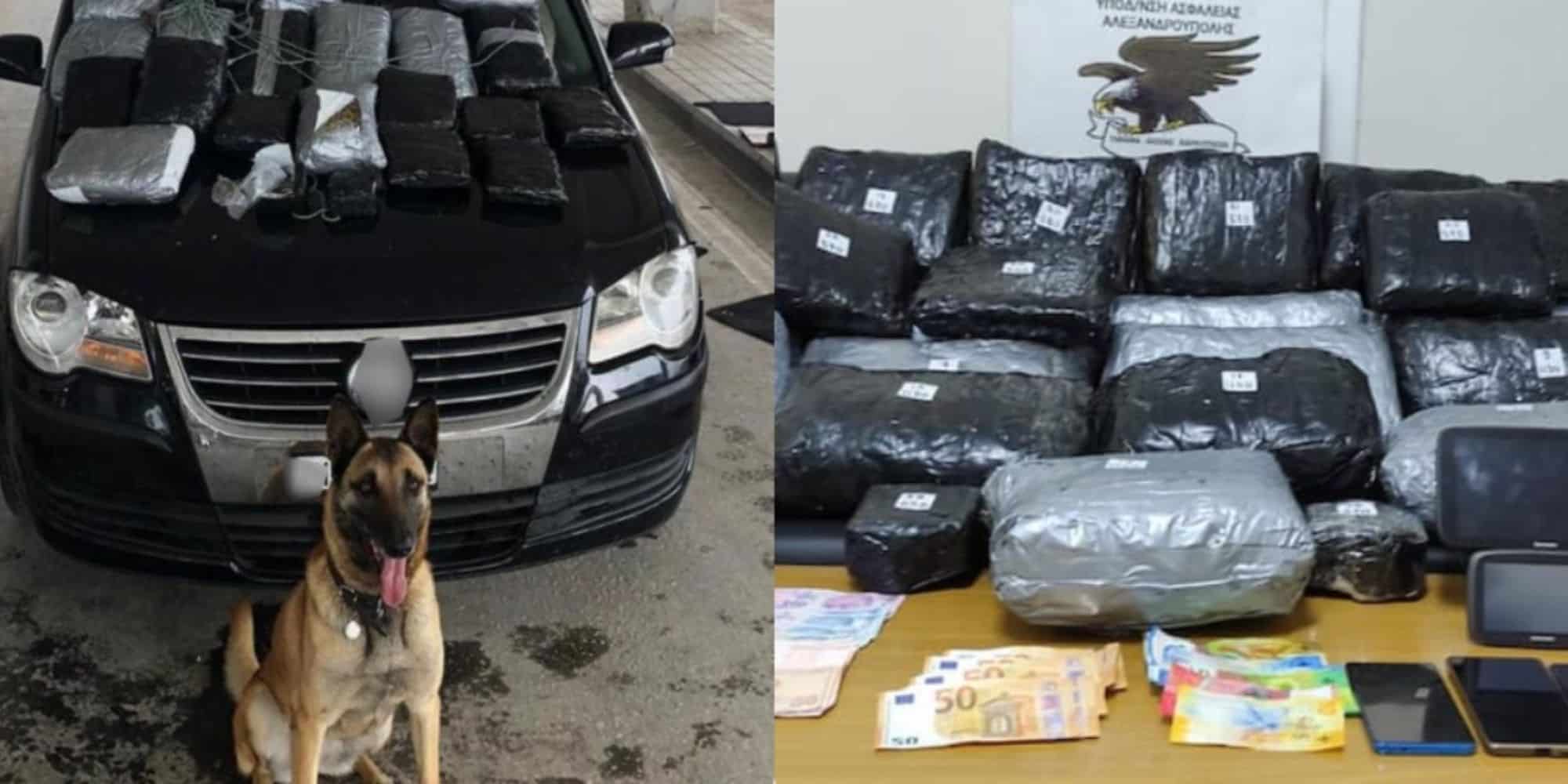 Ο σκύλος της αστυνομίας που βρήκε τα ναρκωτικά