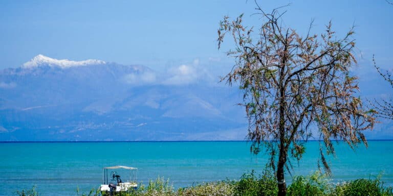 Αίθριος ο καιρός σήμερα – Πού θα φτάσει τους 38 βαθμούς η θερμοκρασία