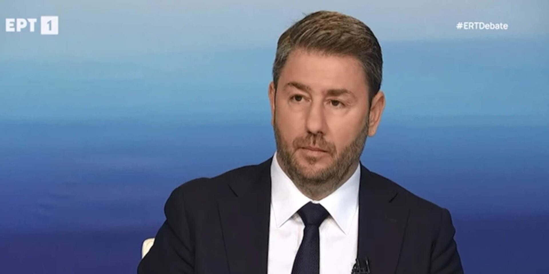 Ο Νίκος Ανδρουλάκης