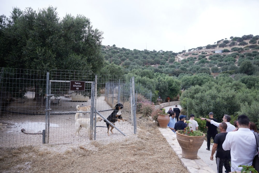 Ο Μητσοτάκης επισκέφτηκε το καταφύγιο ζώων «Takis Shelter» στην Ιεράπετρα