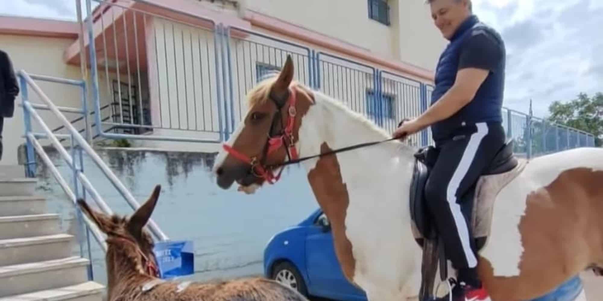 Ο αγρότης πήγε με το άλογο να ψηφίσει