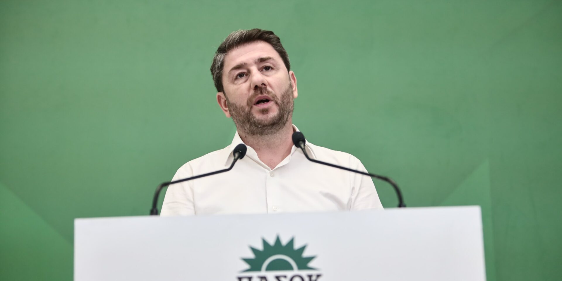 Ο Νίκος Ανδρουλάκης