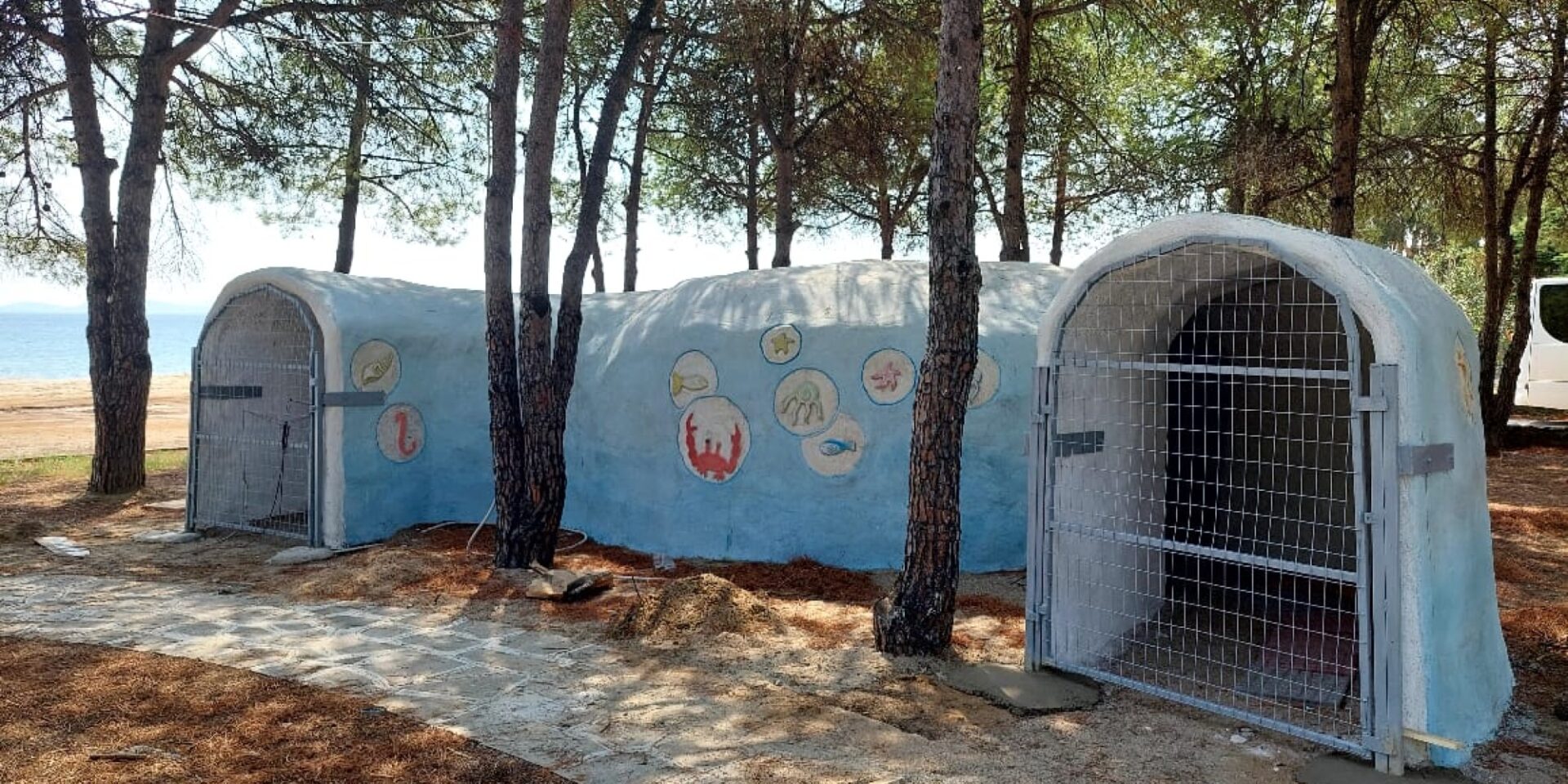 Εθελοντές έφτιαξαν το «Πάρκο του Ιππόκαμπου» στο Στρατώνι Χαλκιδικής
