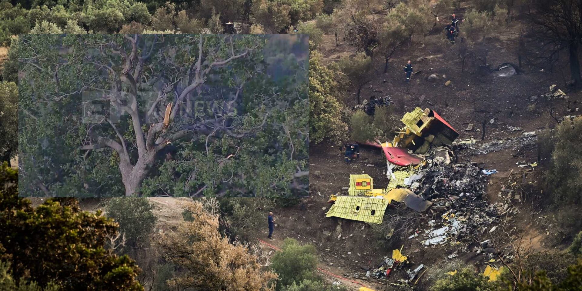 Το δέντρο που χτύπησε το Canadair